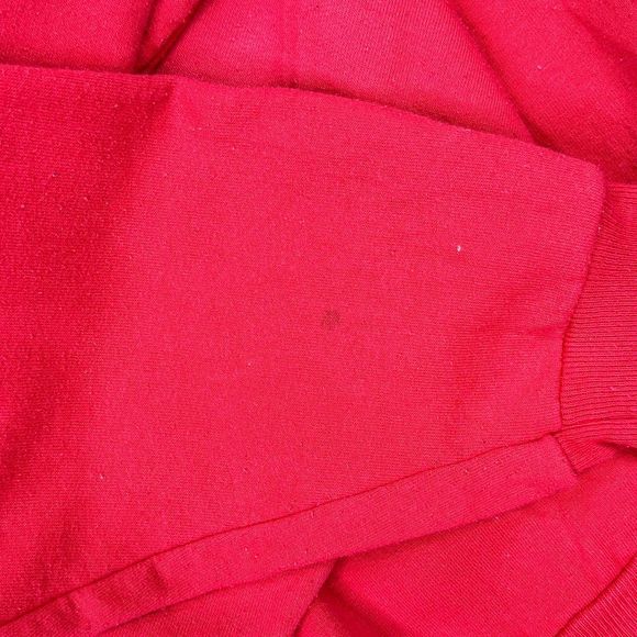 Vintage 90’s Hanes San Diego Zoo Panda Bear Crew Neck - Size XL - Picture 5 of 5